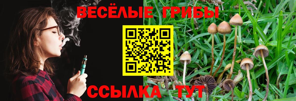 даркнет сайт  Вход с VPN  Печора  Галлюциногенные грибы GOLDEN TEACHER  Псилоцибиновые грибы Psilocybine cubensis 